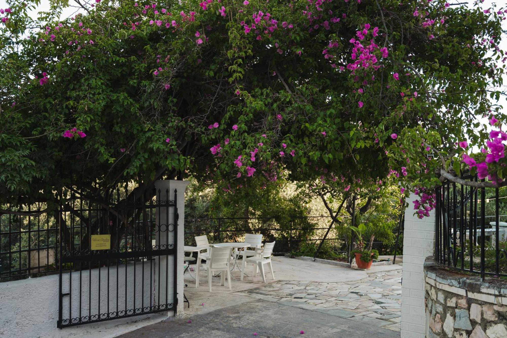 Ulisse Apartments Paleokastritsa Exterior photo